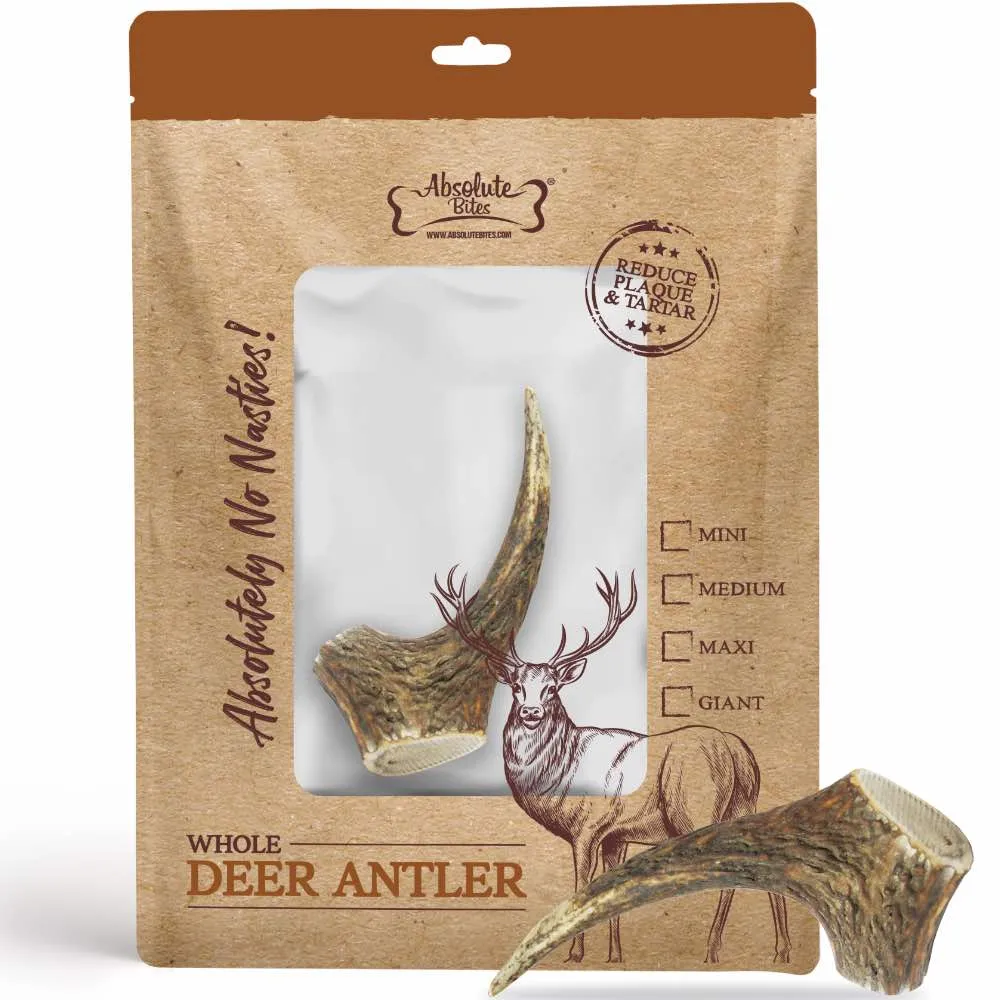 33% OFF: Absolute Bites Whole Deer Antler Dental Dog Chew