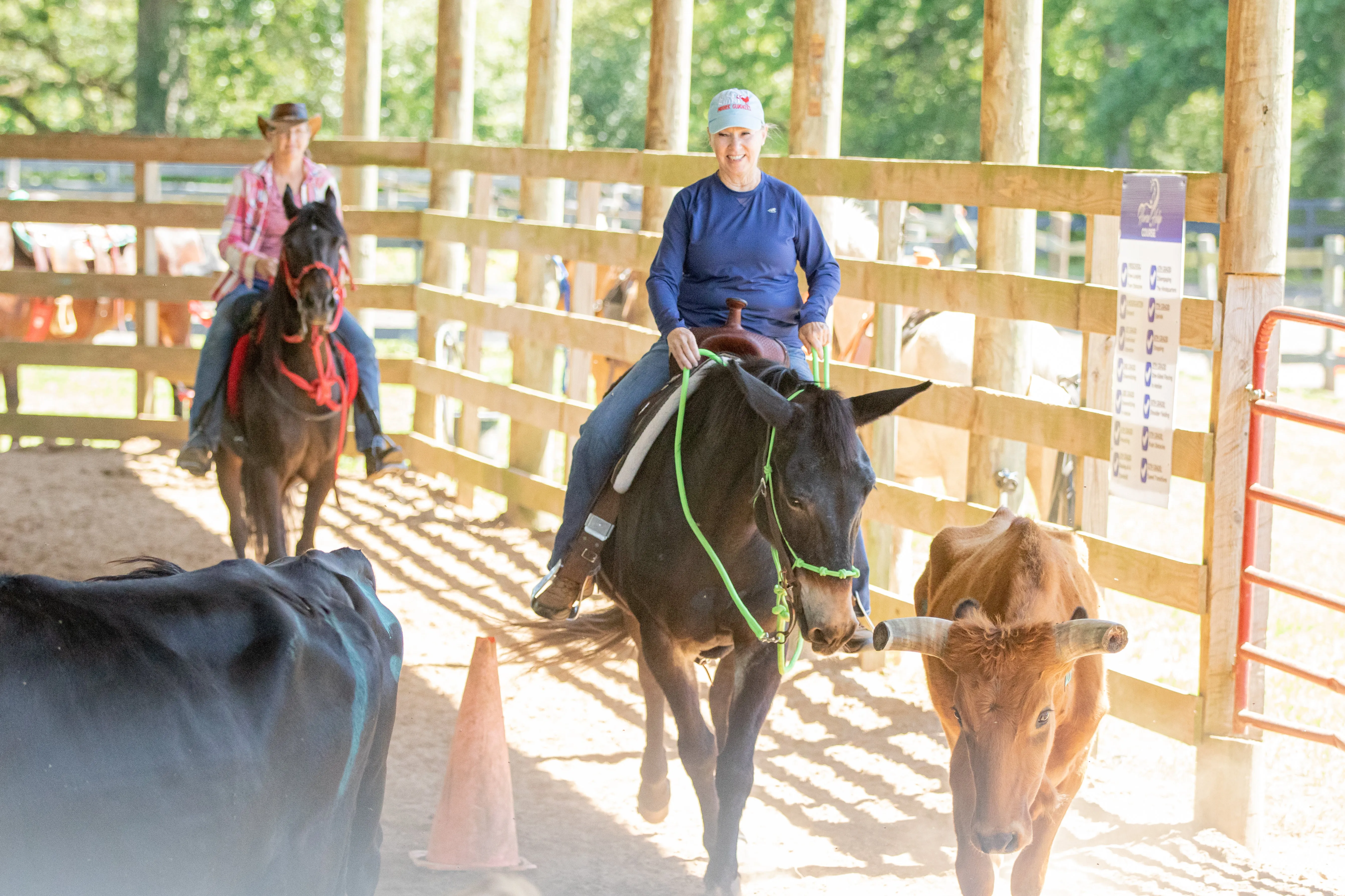 All-Inclusive Retreat & Horse Training COMBO!