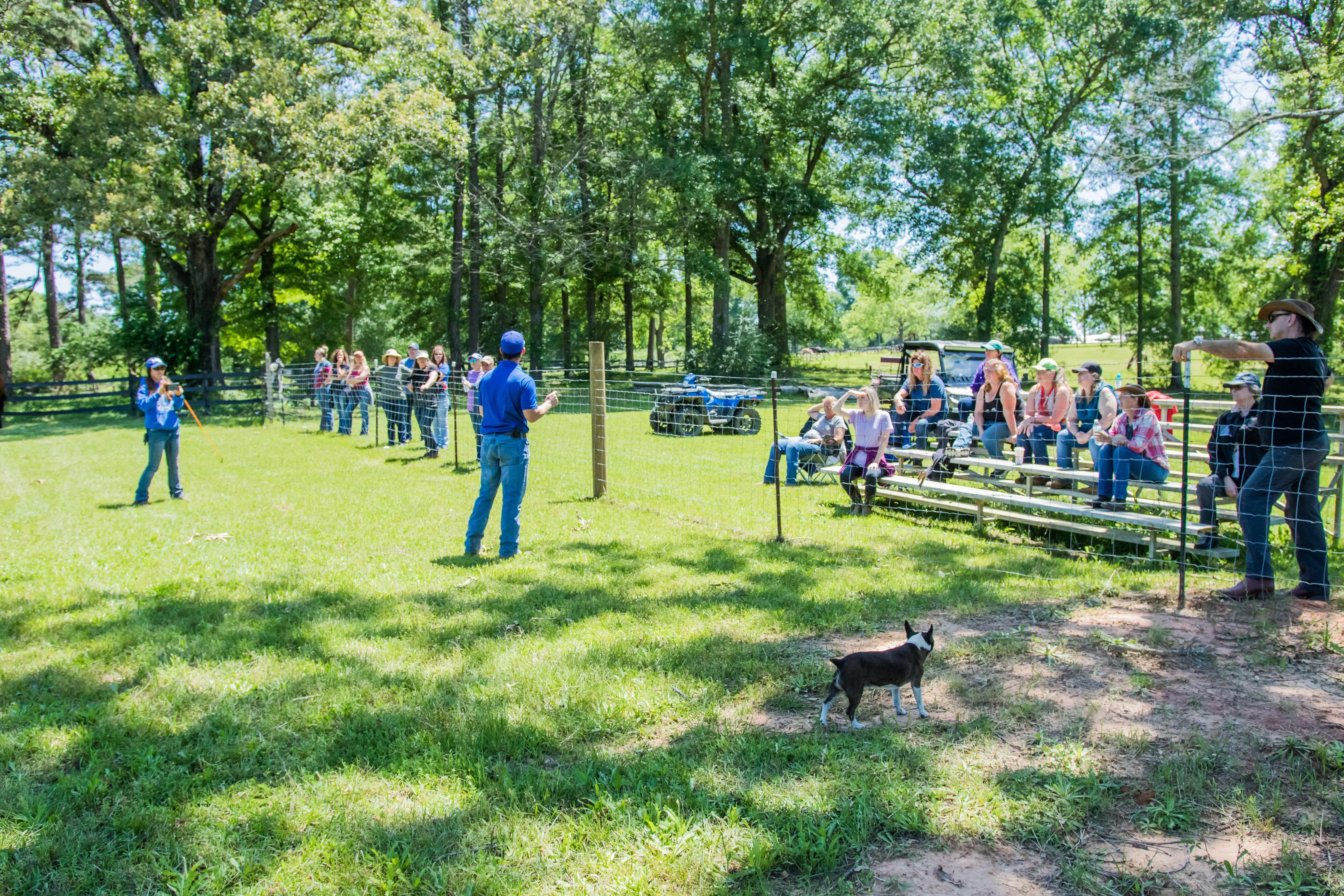 All-Inclusive Retreat & Horse Training COMBO!