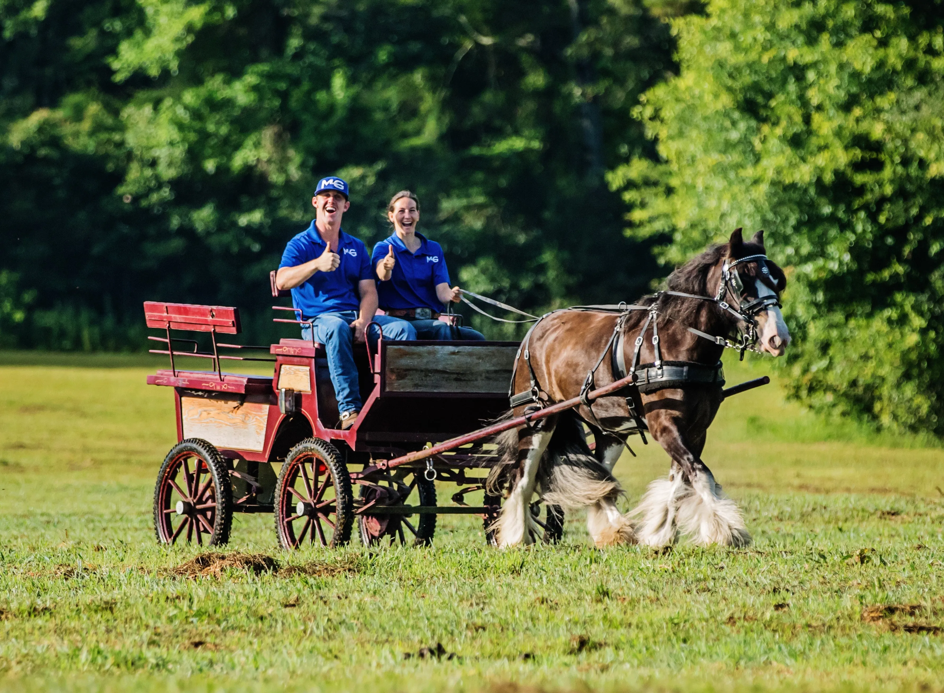 All-Inclusive Retreat & Horse Training COMBO!