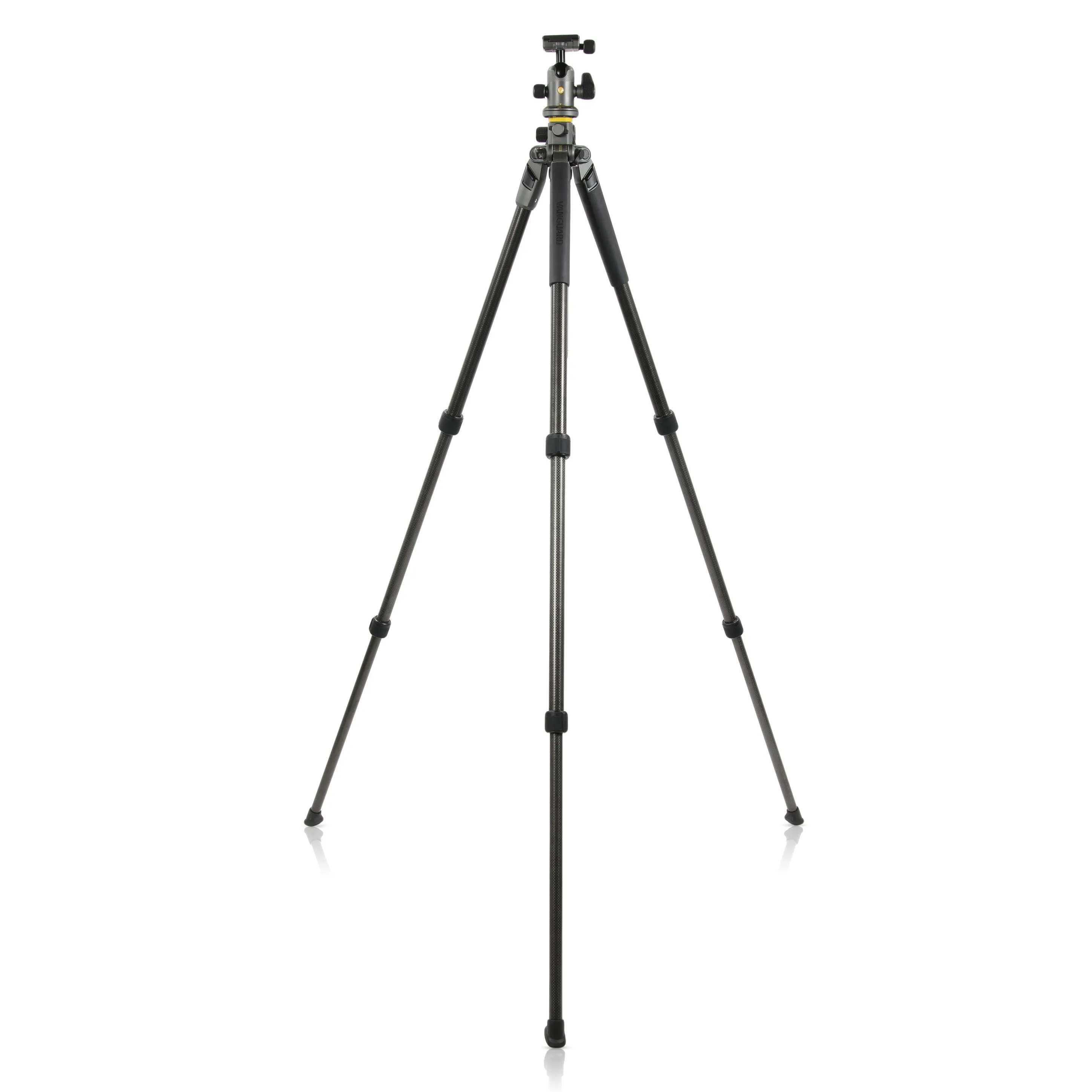 Alta Pro 2  263CB 100 | Carbon Tripod with Multi-Action Ball Head | Overhead Shooting