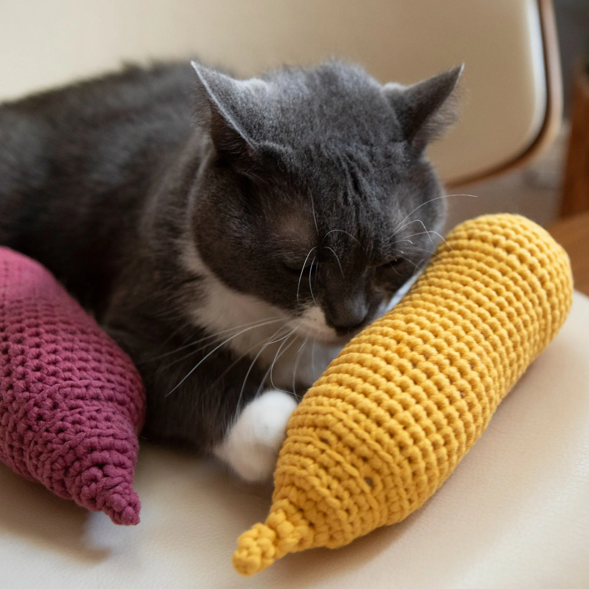 Bernat Ketchup & Mustard Crochet Pet Toys