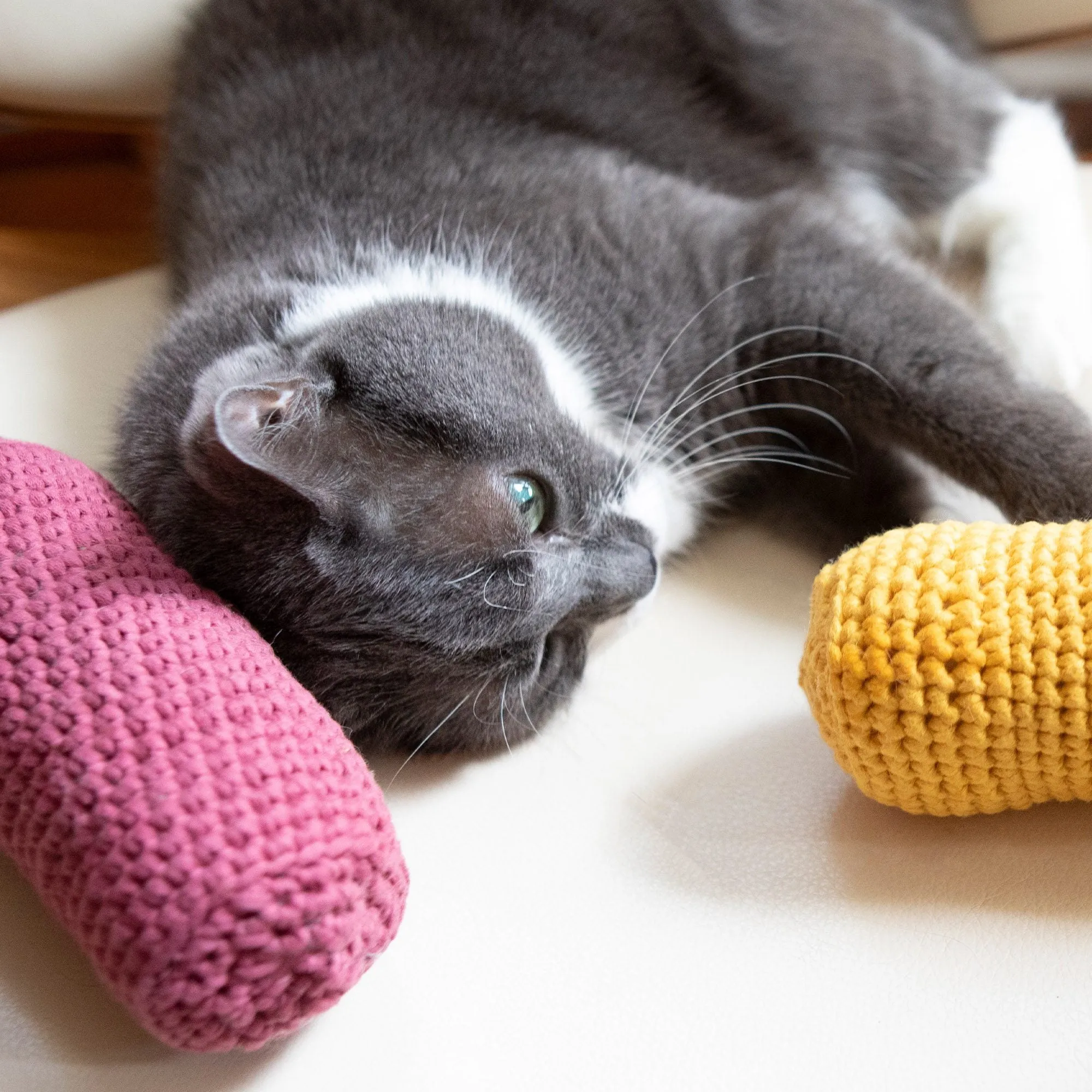 Bernat Ketchup & Mustard Crochet Pet Toys