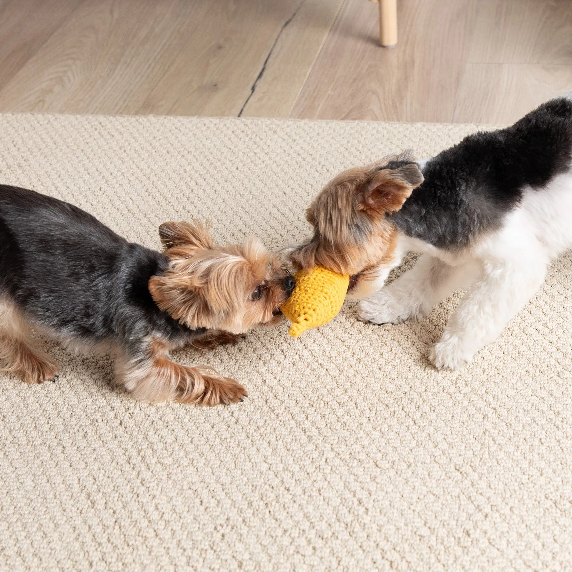 Bernat Ketchup & Mustard Crochet Pet Toys