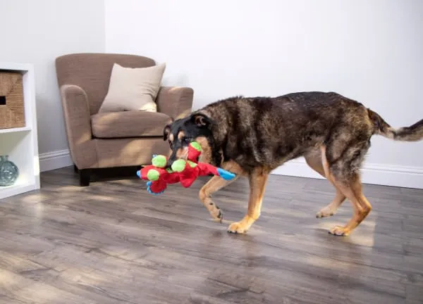 Dinos Frills Triceratops Dog Toy