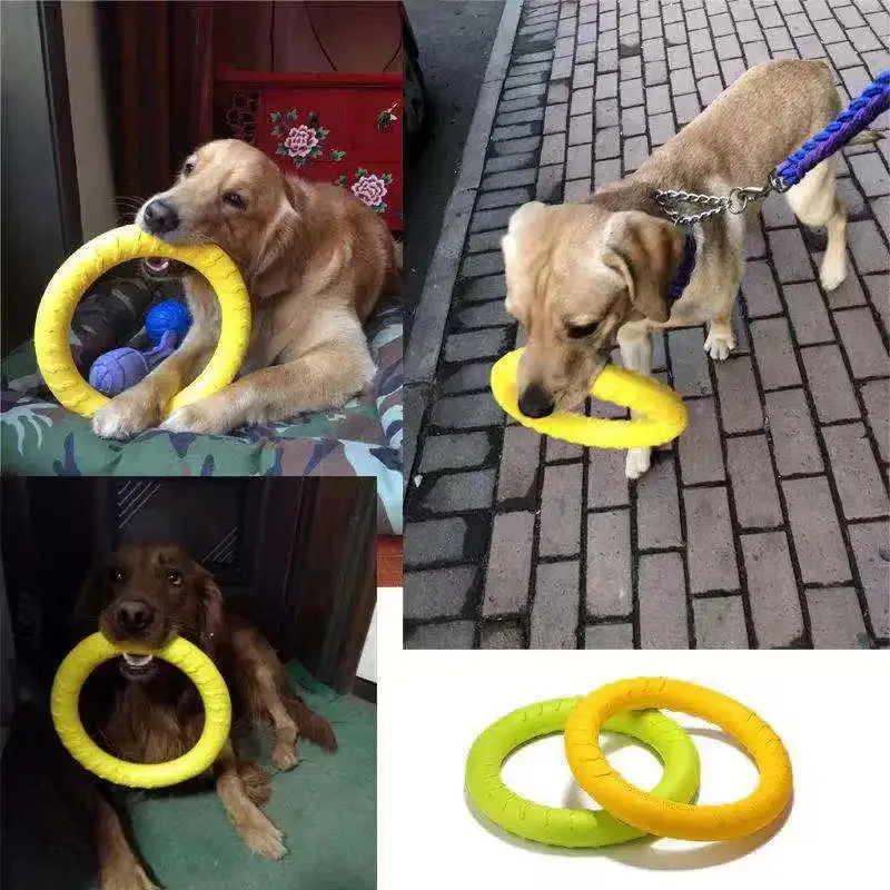 Dog Flying Ring Toy