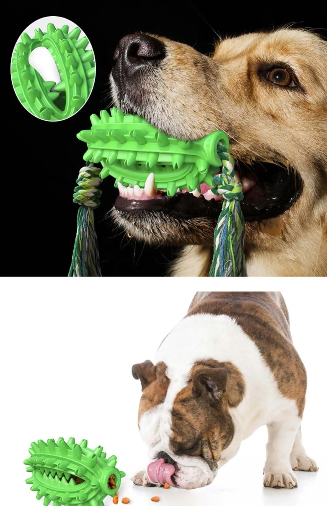 Dog Toothbrush Cactus Chew Toy for Aggressive Chewers Durable Rubber with Rope