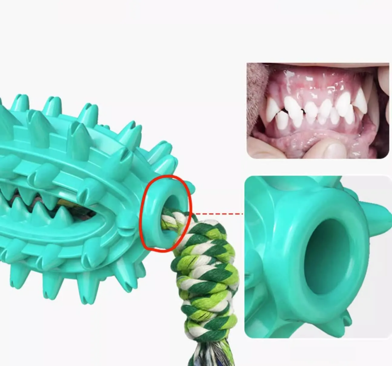 Dog Toothbrush Cactus Chew Toy for Aggressive Chewers Durable Rubber with Rope