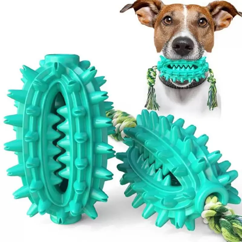 Dog Toothbrush Cactus Chew Toy for Aggressive Chewers Durable Rubber with Rope