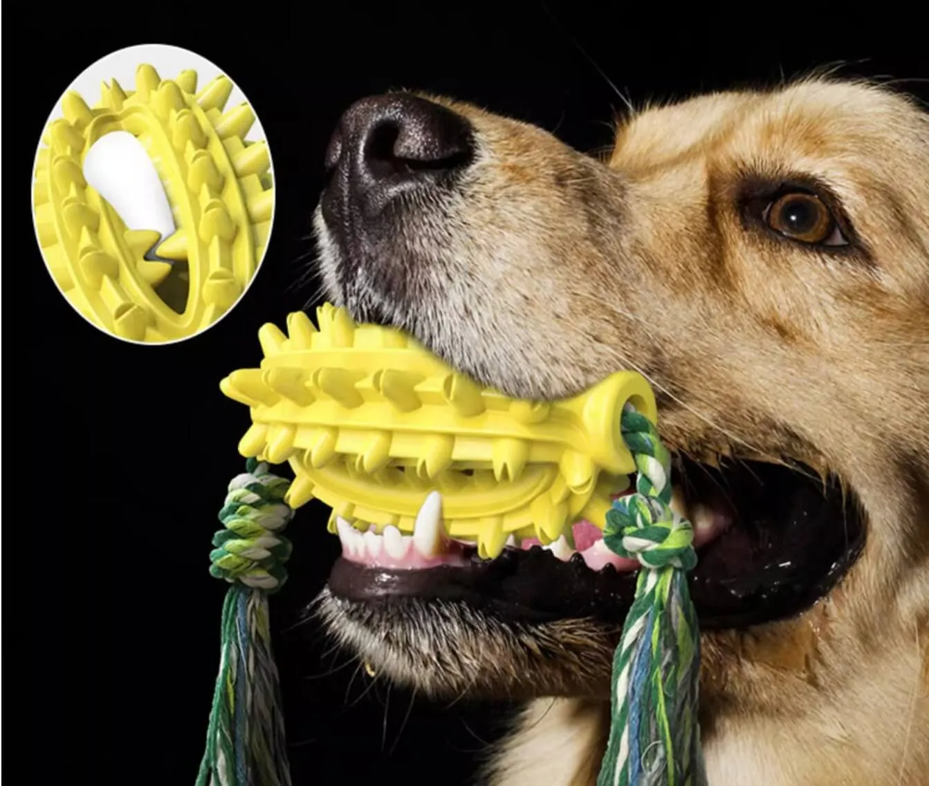 Dog Toothbrush Cactus Chew Toy for Aggressive Chewers Durable Rubber with Rope