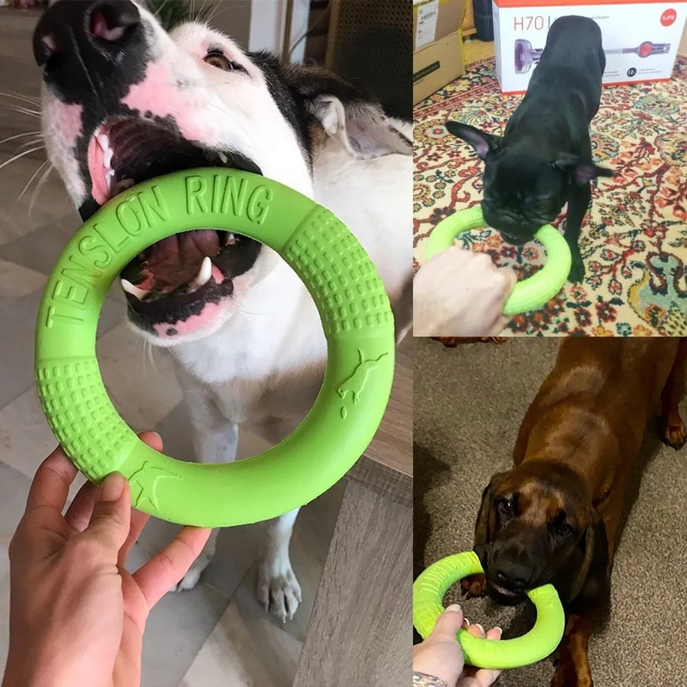 Gnawsome Easy Glide Dog Flying Ring