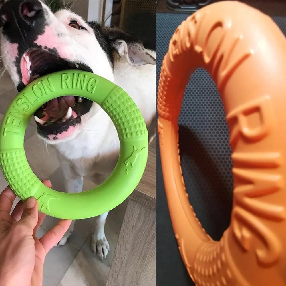 Gnawsome Easy Glide Dog Flying Ring