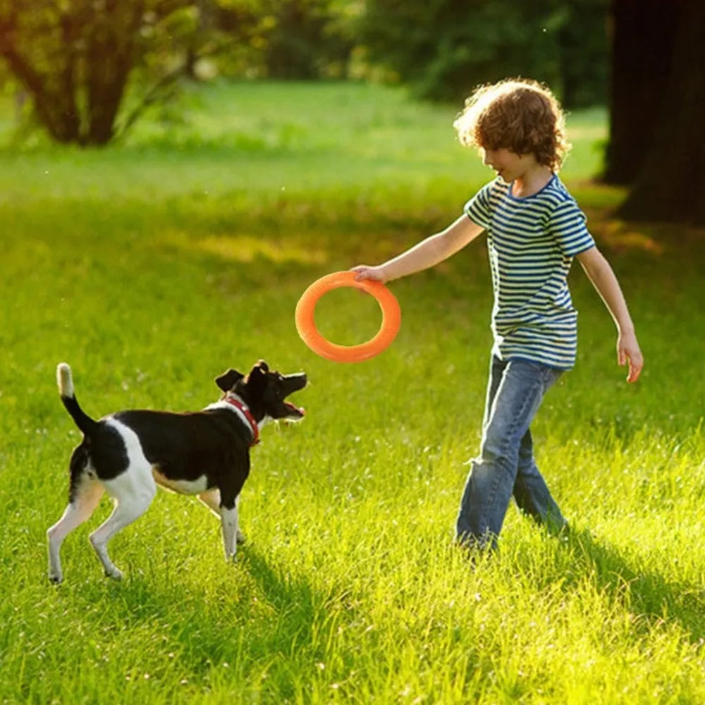 Gnawsome Easy Glide Dog Flying Ring