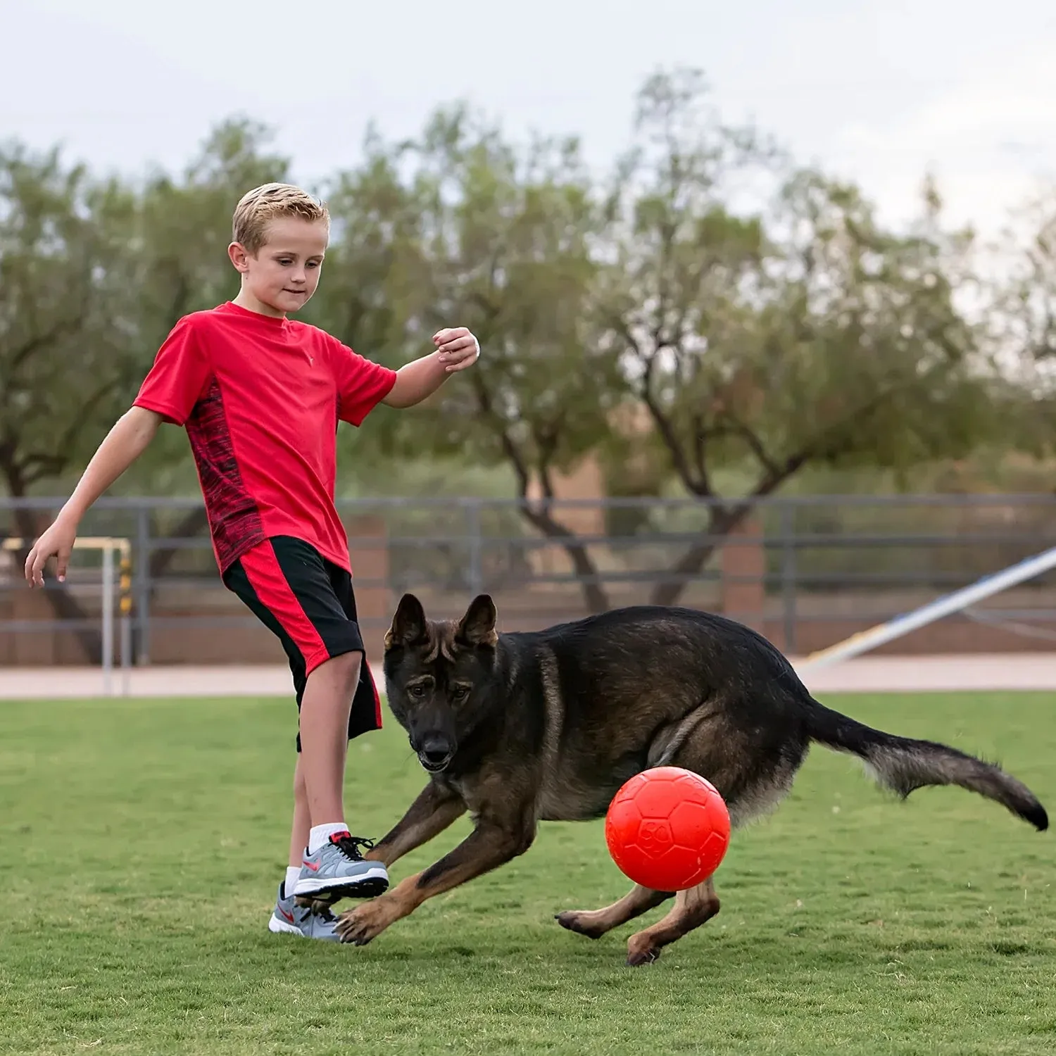 Jolly Pets Soccer Ball 8-Inch, Assorted, Dog Toy