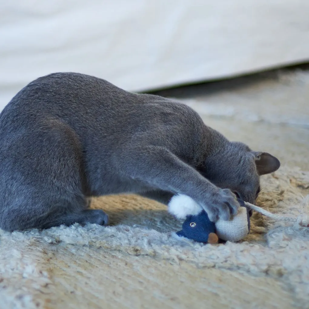 Kazoo Big Ears Mouse Cat Toy