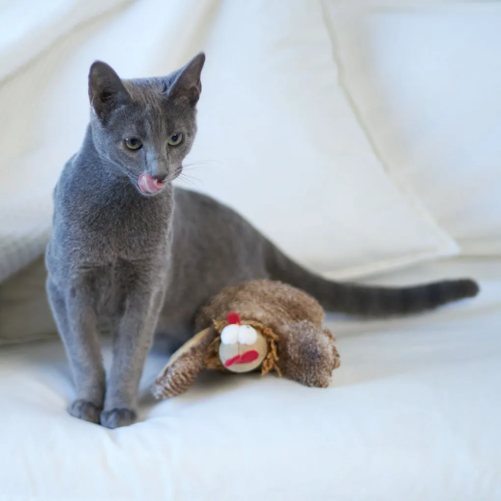 Kazoo Cheeky Chicken Cat Toy