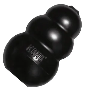 Kong Extreme Black Chew Dog Toy