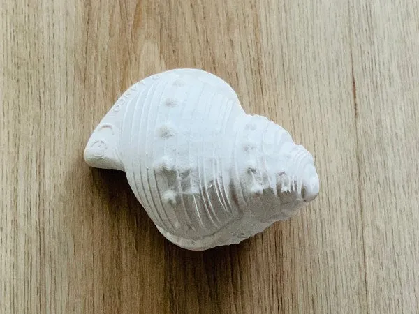 Lanco Karacola Whelk Shell Bath Toy (White)