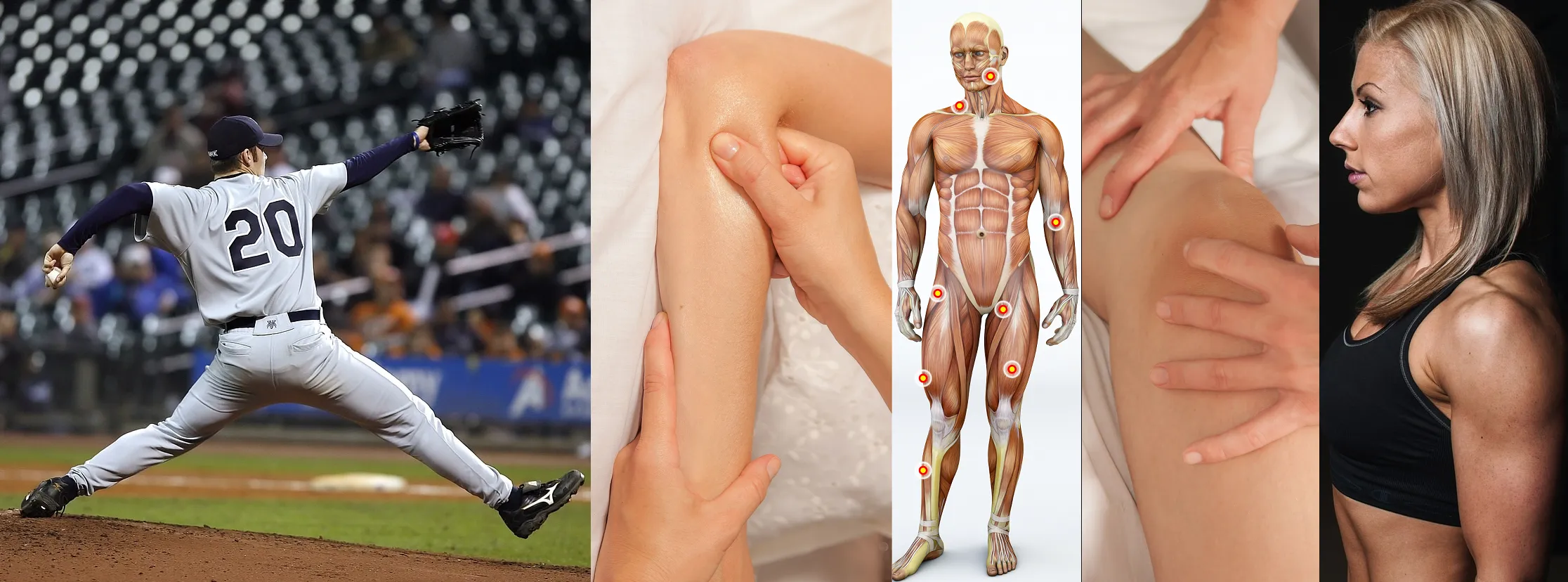 LIVE IN-PERSON 12 CE Hour Sports Massage & Trigger Point Therapy