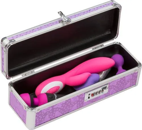 Lockable Toy Case