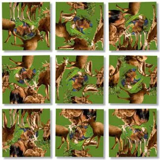 Moose Puzzle