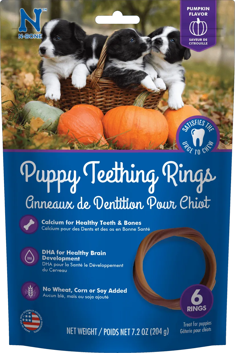 N-Bone® Puppy Teething Rings Pumpkin Flavor