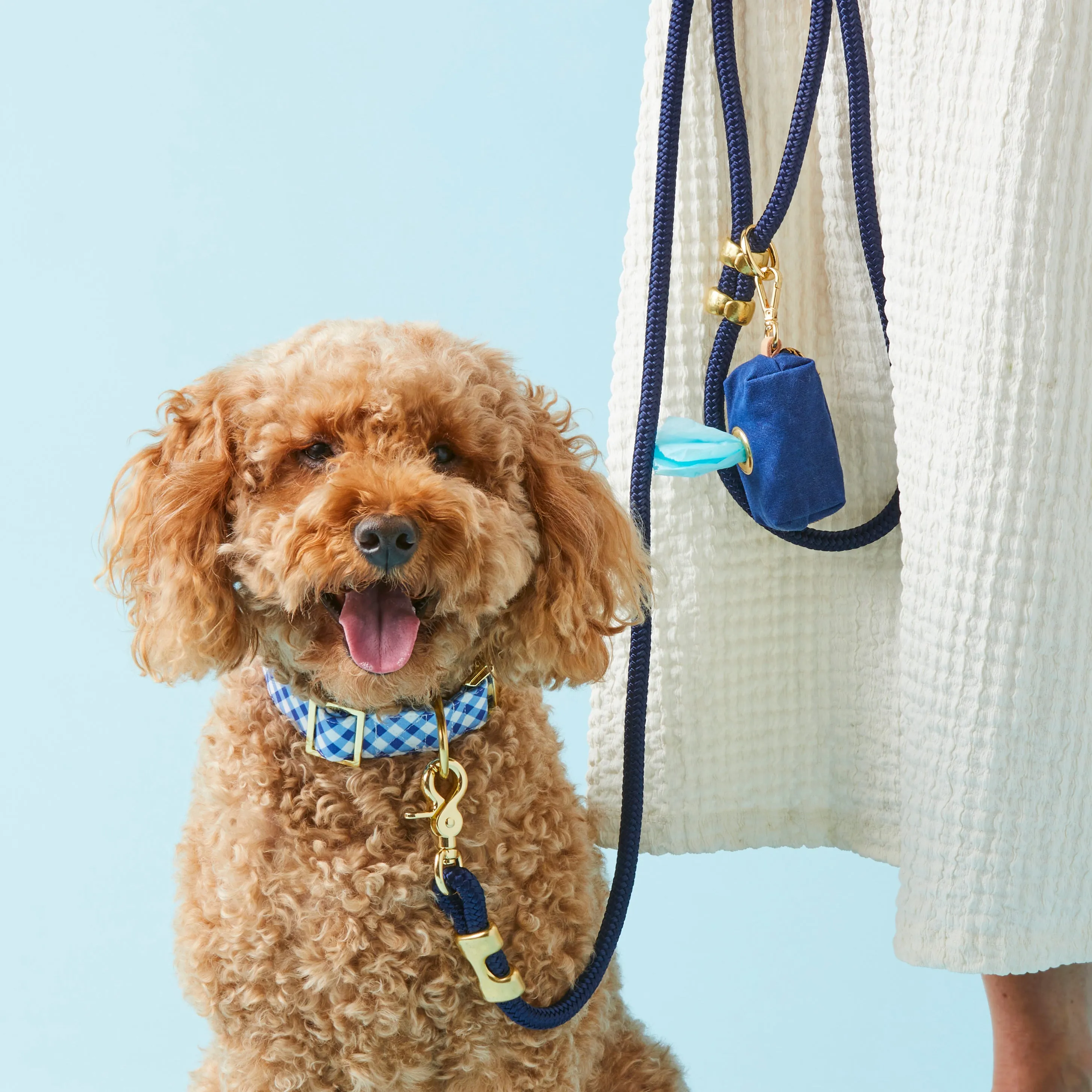 Ocean Marine Rope Dog Leash