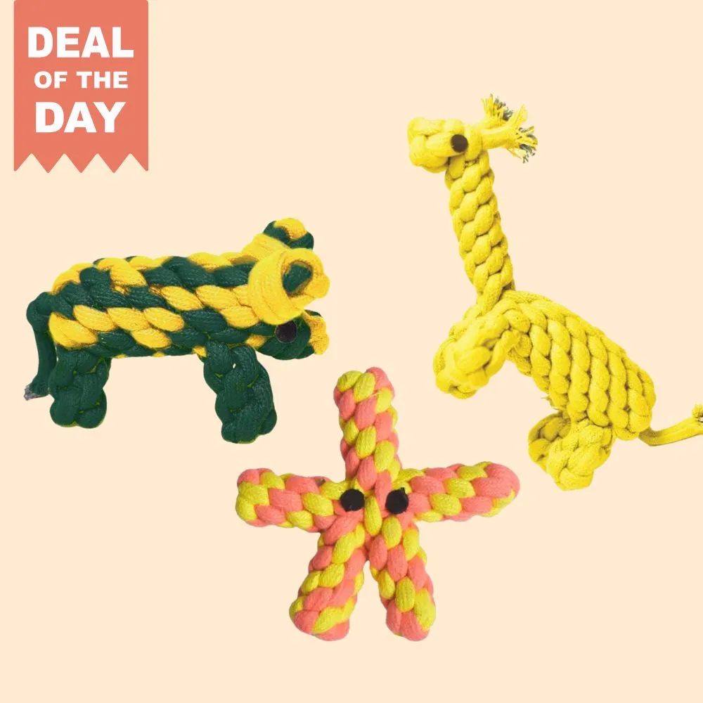 Pack of 3 Rope toys