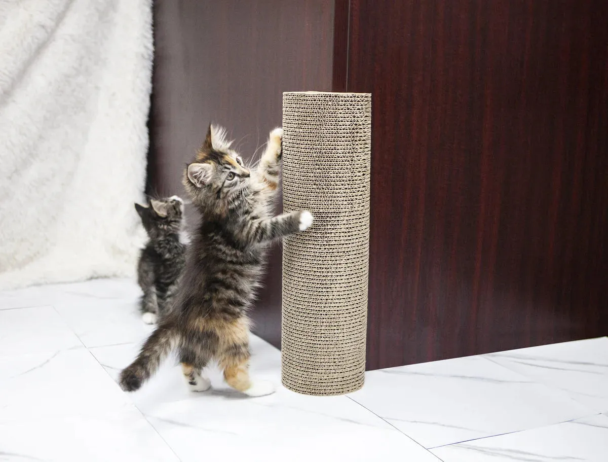 Petique Kitty Corner Post, Cat Scratcher