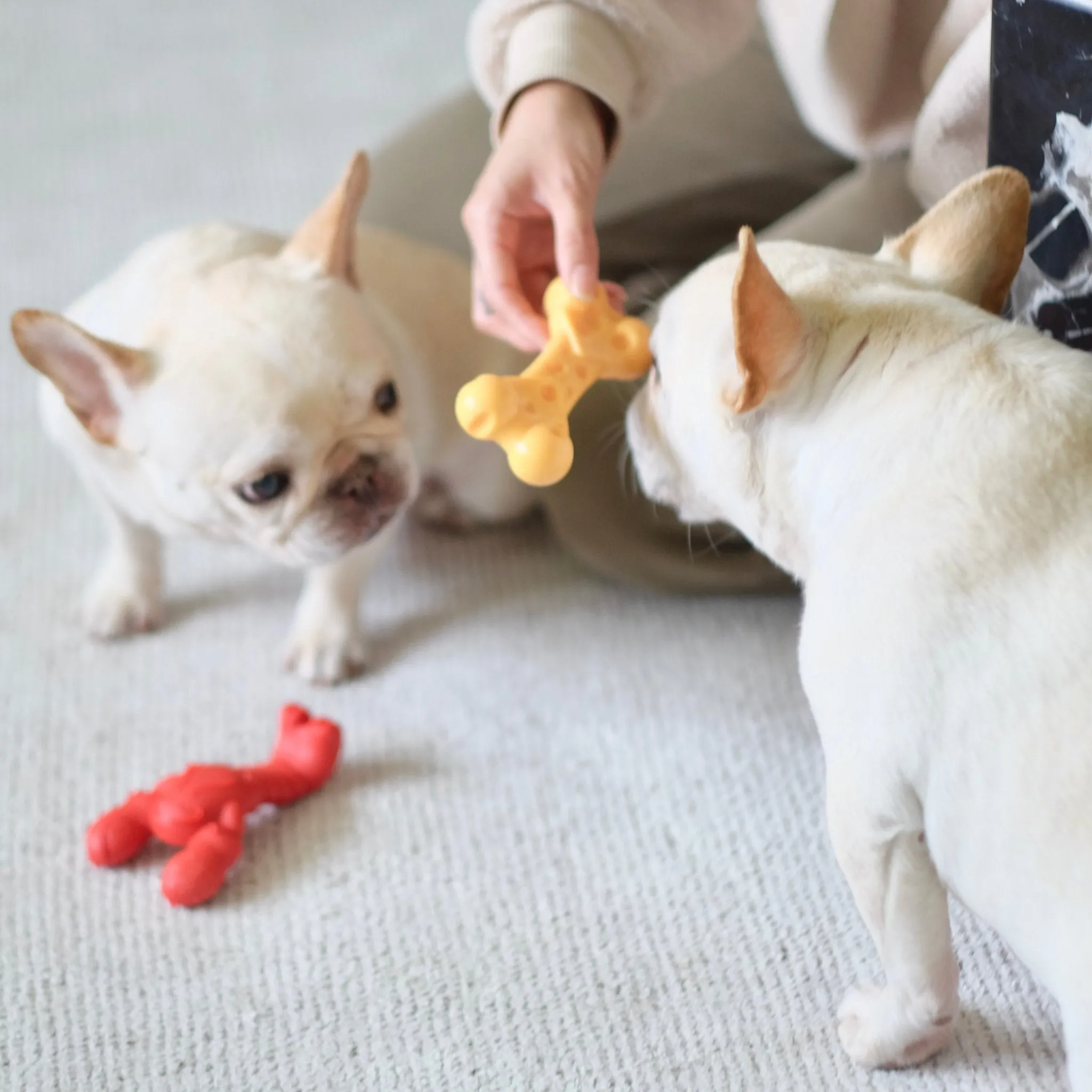 Power Chew Lobster Dog Toy, Filet Mignon