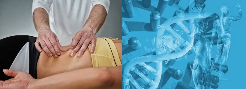 Self-paced Online Home Study 12 CE Sports Massage & Myofascial Release