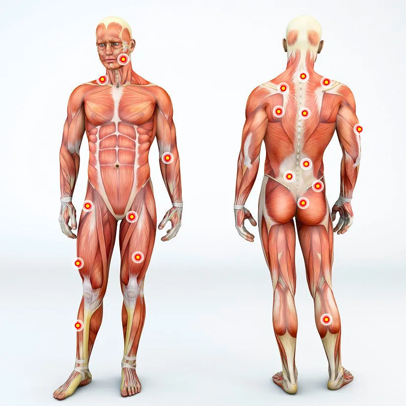 Self-paced Online Home Study 6 CE Hour Trigger Point Therapy