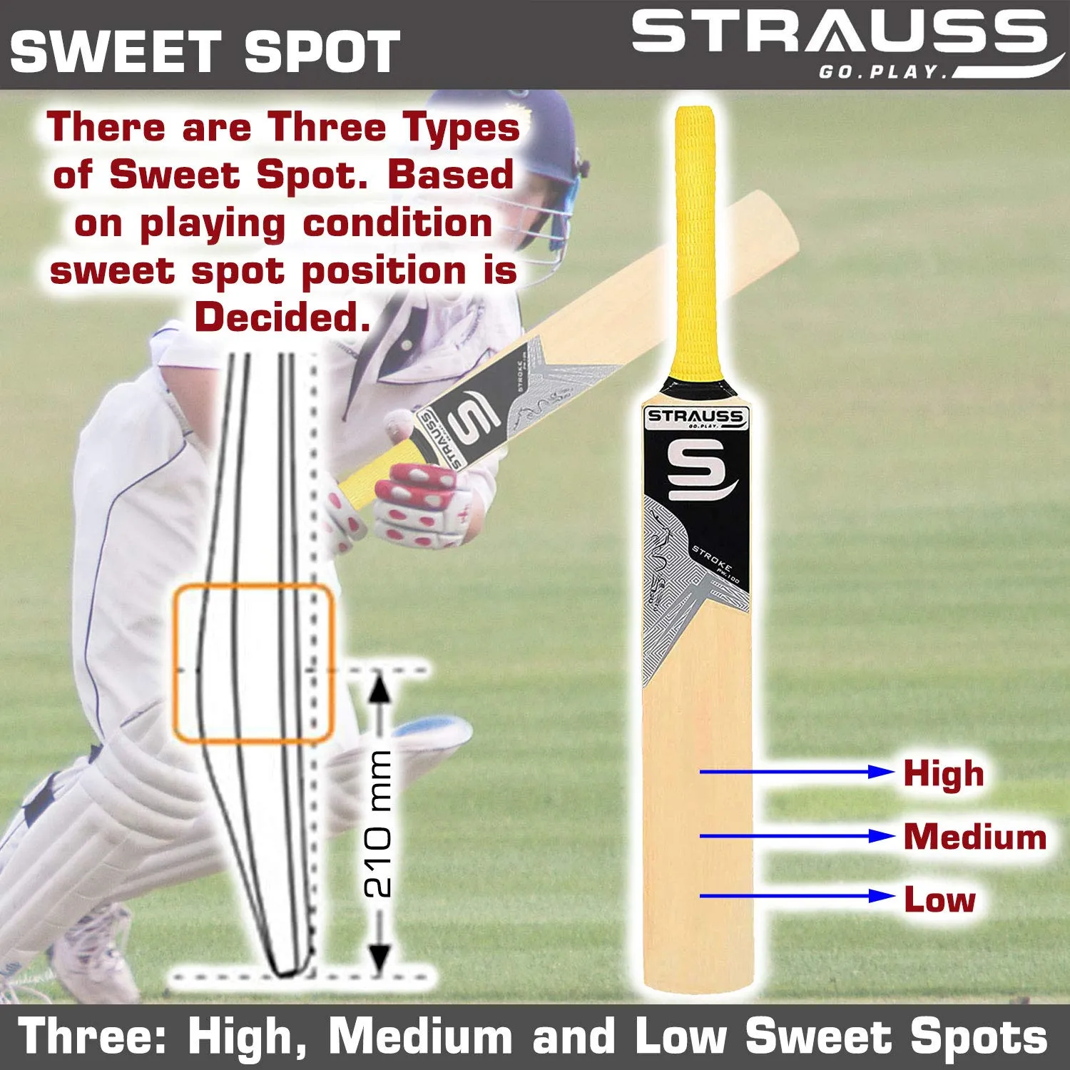 Strauss Cricket Bat | Edition: PW-100 | Popular Willow | Size: 5 | Color: Beige | Tennis Cricket Bat | for Boys