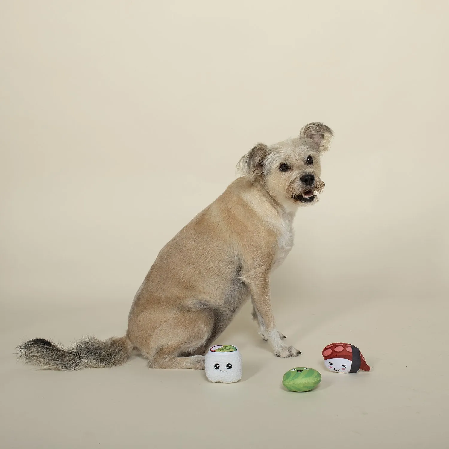 Sushi-holic Mini Dog Toys (Set of 3)