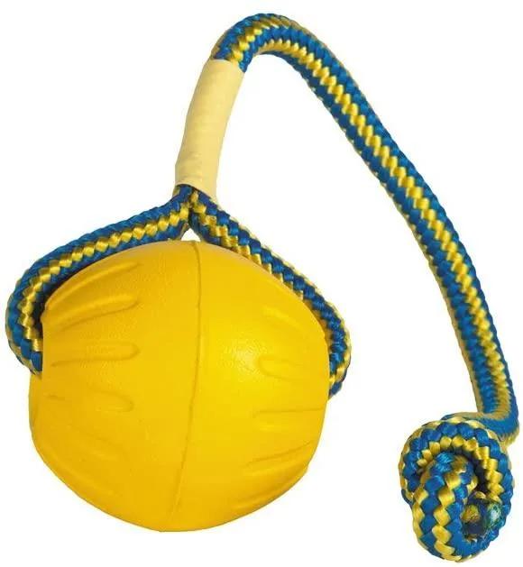 Swing 'N' Fling Rope Handled Dog Chew Toy