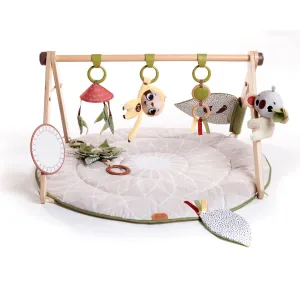 Tiny Love Boho Chic Luxe Developmental Gymini Activity Gym