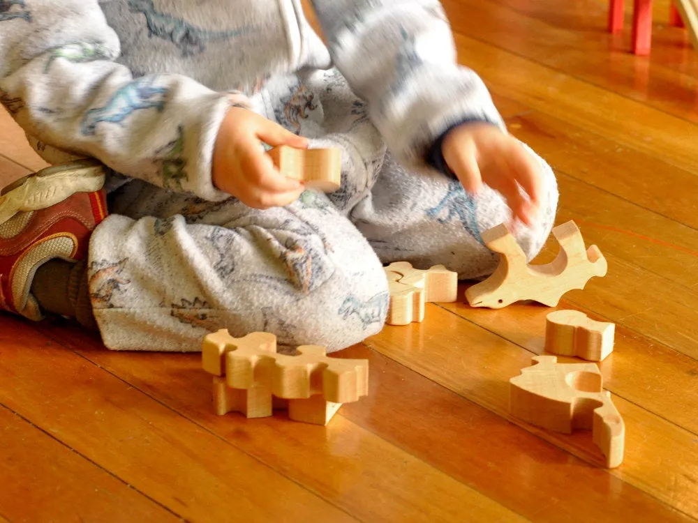 Wooden Stegosaurus Puzzle